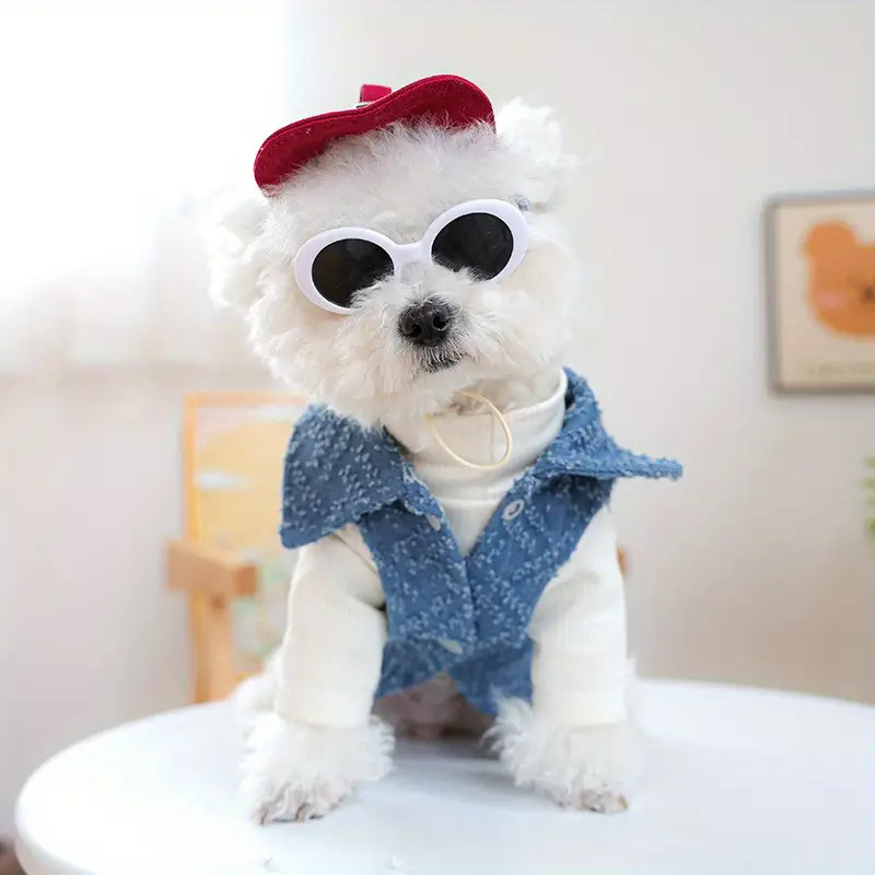 Hunde-Mode-Baseballkappe mit S – Street Fashion Shoot Bewertung und Preis
